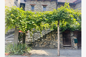 Nature et ancien ce mélange 