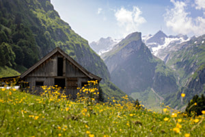 Blick auf Säntis Blick auf Säntis