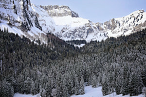 GLANER ALPEN BEZUCKERT