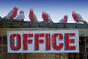 Office