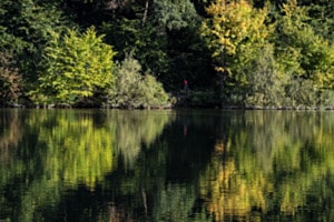 Am See