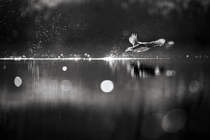 take off