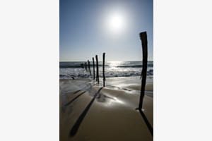 Küstenlandschaft auf Sylt