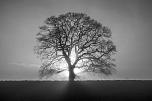 Kampf zwischen Licht und Schatten