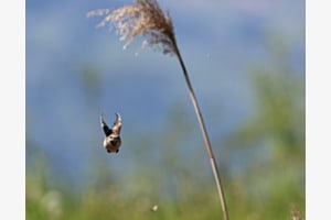 Bin gleich da! Bin gleich da!