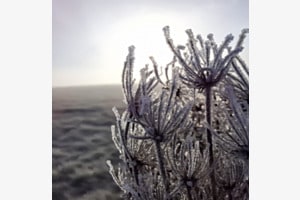 Kristallener Morgen ...