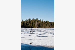 Le Cycliste 
