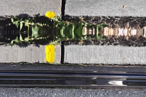 Auto am Strassenrand