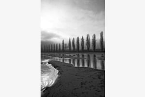Horizon vertical sable argenté