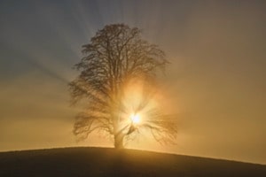 Sonnenstrahlen