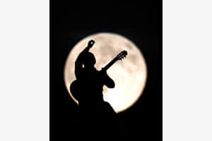 Moonlight serenade Moonlight serenade
