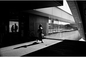 Afternoon Light