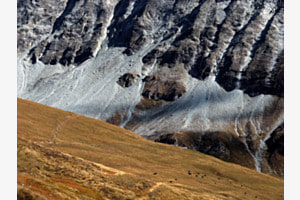 T'as où les vaches ? T'as où les vaches ?