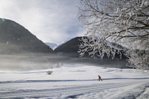 Frühsportler Frühsportler