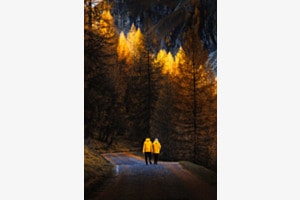it's a mellow yellow it's a mellow yellow