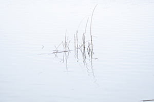 Am See Am See
