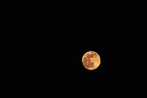 Mond Mond