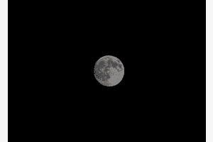 Moon Moon