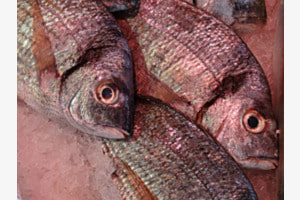 Poissons