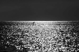 Lac en noir Leman