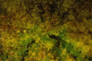 Kaléidoscope
