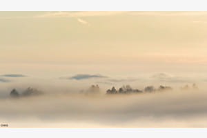 Mont-Vully