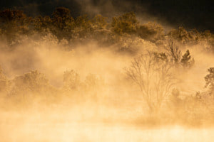 Morgennebel Morgennebel