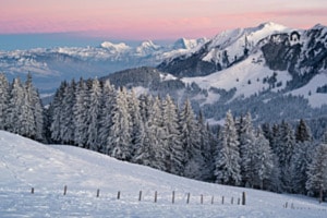 Winterlandschaft