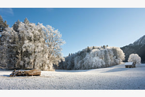 Frostlandschaft