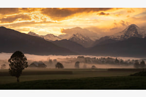 Morgennebel