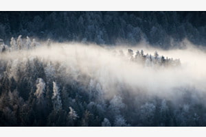 Im Sonnenlicht