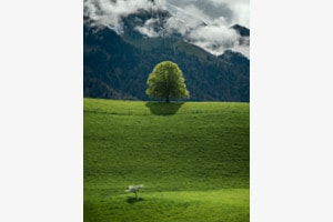 Frühling