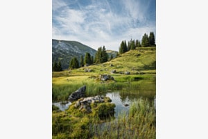 Am Bergsee I Am Bergsee I