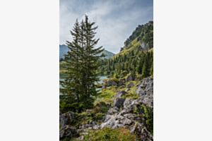 Am Bergsee III Am Bergsee III