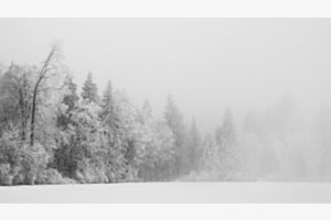 Winterstille