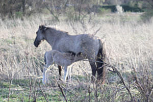 Mutter & Sohn Mutter & Sohn