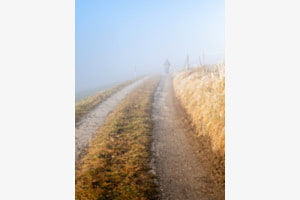 Verschwindet im Nebel