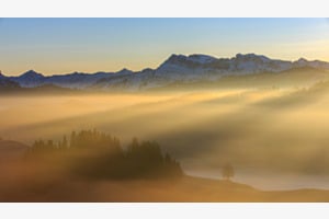 Nebel im Emmental