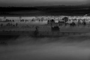 Nebel im Moos