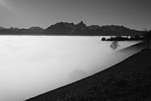 Nebelmeer 2 Nebelmeer 2