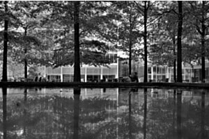Novartis Campus