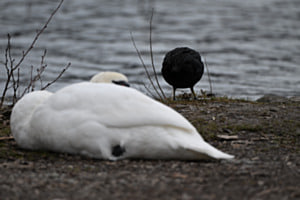 Stille Begegnung