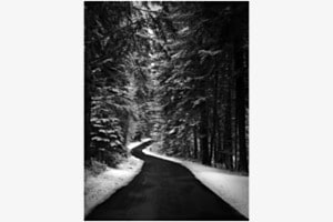 Strasse im Wald