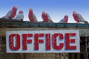 Office Workers Office Workers