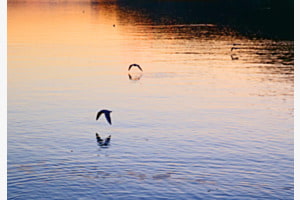 Crépuscule