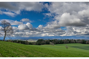 Krauchthal