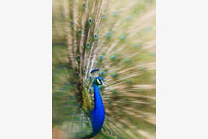 One Third of a Second
