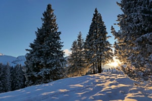 Schneeparadies Schneeparadies
