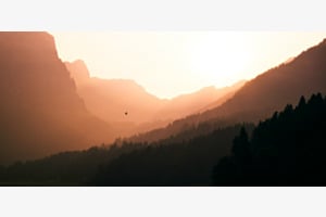 Abendflug Abendflug