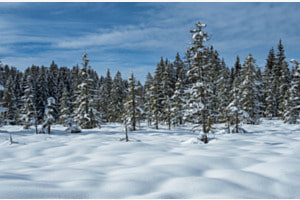 Winter im Jura